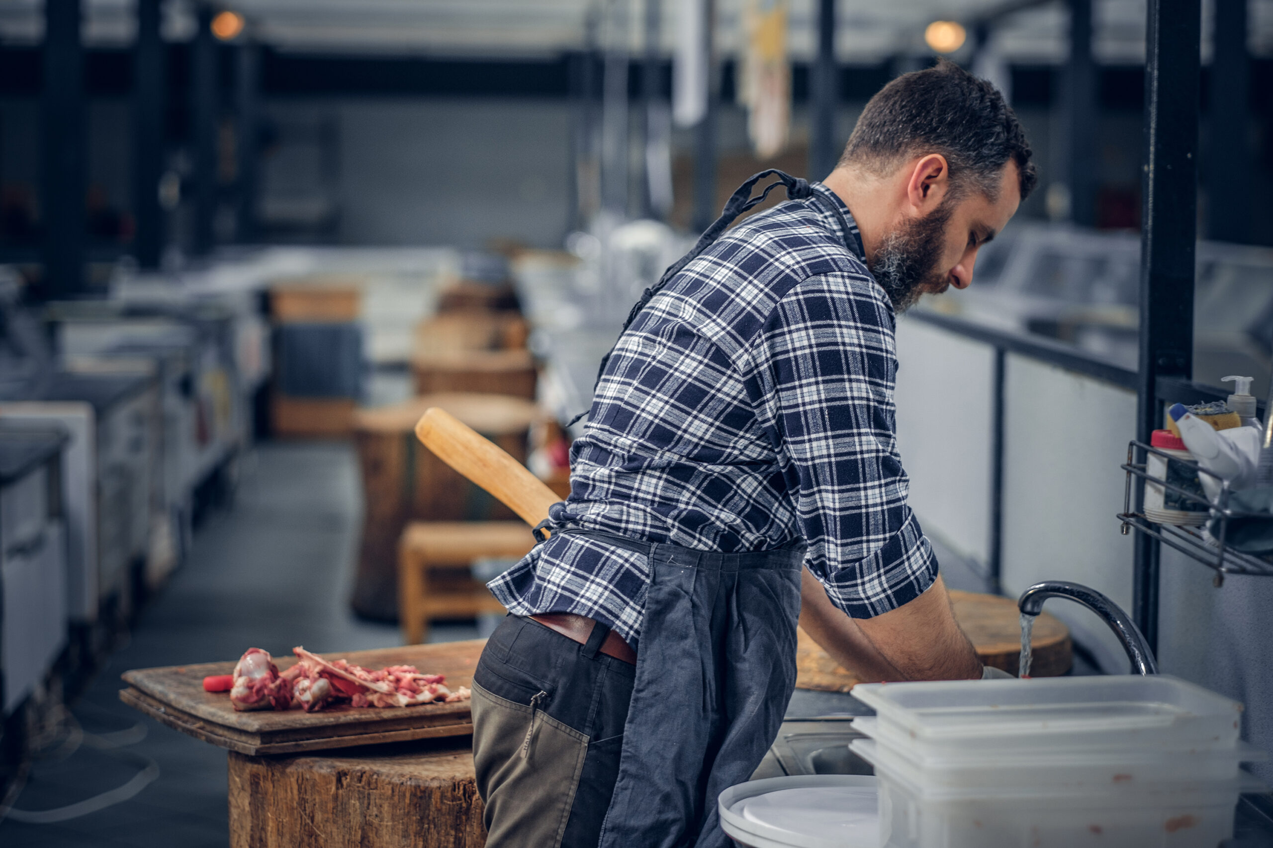 Manipulador de Alimentos. Sector Cárnicas