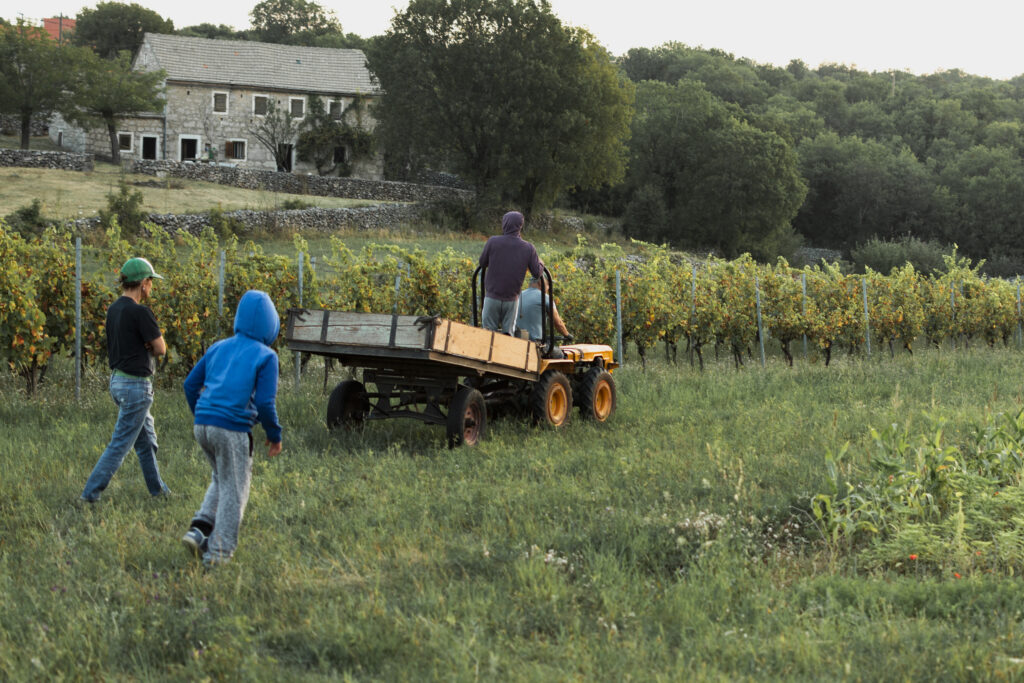 Prevención de Riesgos Laborales Básico en el Sector Rural